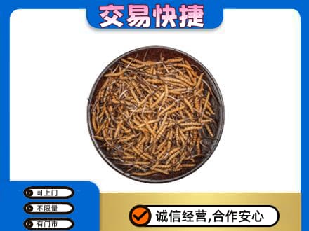 泰州市高价回收散虫草